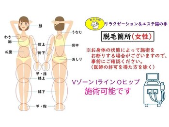 猫の手/【女性】脱毛箇所(全14か所)