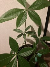 アリー(alliee)/◇アフターカウンセリング◇