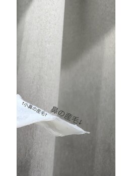 ミシル(Mishil)/フェイシャルパールワックス