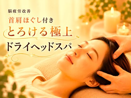 ツバキ 岐阜店(TSUBAKI)の写真