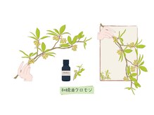 アウン(aUN)/クロモジ