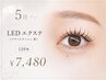 5月＊【＊LEDエクステ（フラットラッシュ黒）120本　¥7480