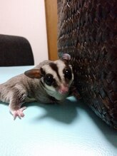 しるふぃ&nbsp;本間 一規