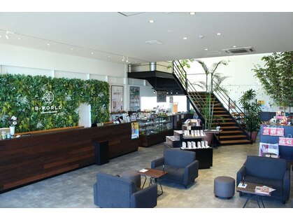 ビーワールド(B-WORLD)の写真