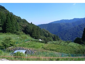 たんとん/よもぎのふるさと 伊吹山麓