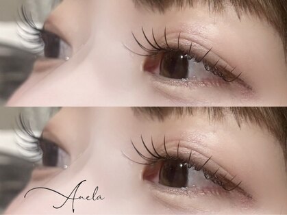 アネラ 表参道(Anela)の写真