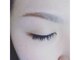 キャンディーローズ(candyrose)の写真