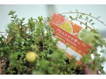 プロエステマザー/予約内容が決まらない方