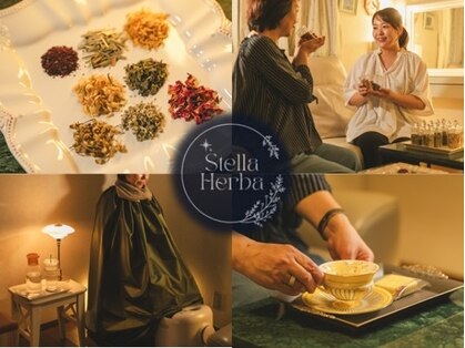 ステラヘルバの写真