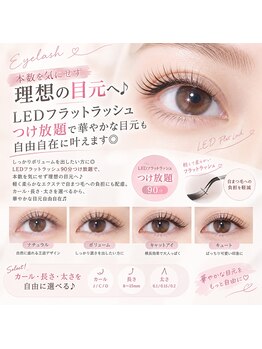 ユナニナサロン 上野店(unanina salon)の写真/本数を気にせず理想の目元へ♪LEDフラットラッシュつけ放題で華やかな目元も自由自在に叶えます◎