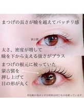 キャメル(camel)/