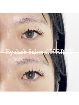 チェリー(CHERRY)/フラットラッシュ 120本