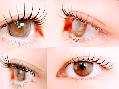 アンジーリス(anzy/lis.)の写真