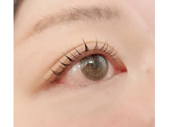 ペルシャ(Persian)/お客様デザイン(担当/長島)