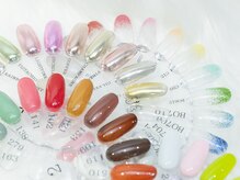 イーミリー(E.milii)/