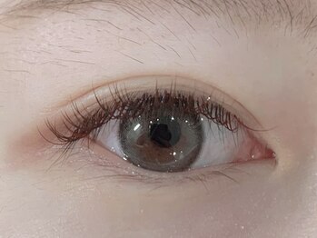 アオ 渋谷(ao.)/ニュアンスブラウン120本