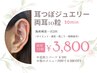【SNSで大人気】耳つぼジュエリー★お好きなパーツOK！（両耳10個）