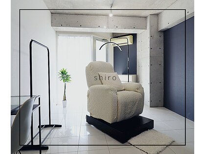 シロ(shiro)の写真