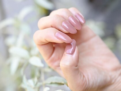 リト 茅ヶ崎((Lito)の写真