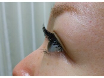 シュシュ(chou chou)/セーブル180本(chouchou吉祥寺)