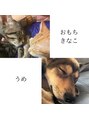NTエステティックアイラッシュ&nbsp;うちのかわいい愛犬と愛猫です(^^)