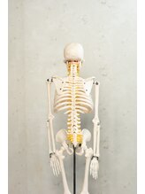 ファノーバ 奥沢店(FUNOVA)/整体/マッサージ/鍼灸/骨格矯正