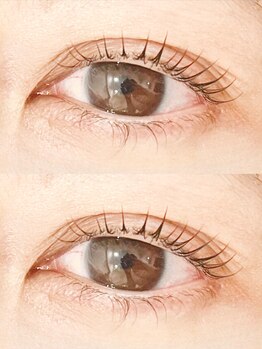 アップリップスダブリュー(Uplips.w)/