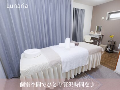 ルナリア(Lunaria)の写真