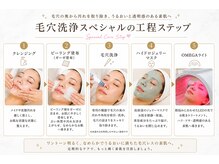 エステサロン アンジュール(Angelle)/毛穴洗浄SPのお手入れステップ