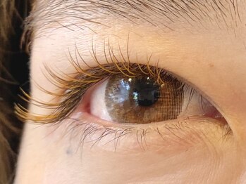 シャルム(Charme)/オリーブ×キャメル　120本