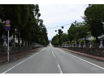 セジョリ(C'est joli)/【道案内】健軍神社参道《健軍》