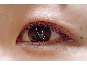 ベル アルブル(bel arbre)/カラーエクステ☆