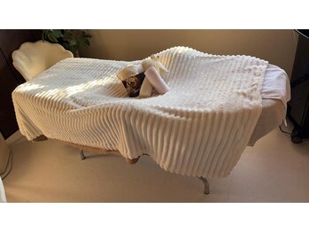 ティアレソワン(tiare soin)/施術スペース