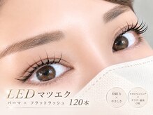 ヴィータ(vita)