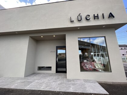 ルチア(LUCHIA)の写真