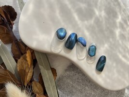 11月ニュアンス定額