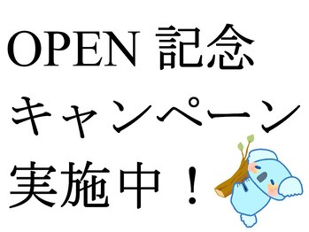 癒しのコアラ 一条 大宮店