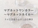 マグネットネイルワンカラー