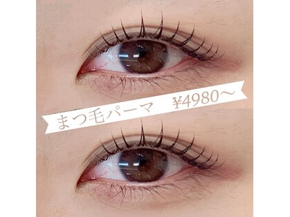 レクシード(Rexsuceed)の写真