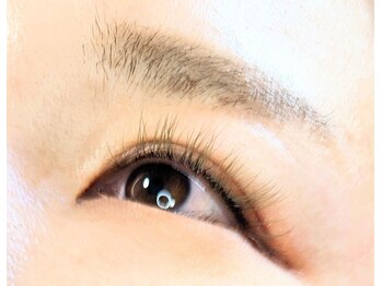 サーカス(circus)/フラット ディープオリーブ