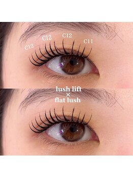 ダリア(DAHLIA)/ラッシュリフト×フラット120