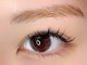 エヌプラスアイラッシュサロン(n plus eyelash salon)の写真/【まつ毛のお悩みはn plusまで】丁寧なカウンセリングで理想のデザインを実現します!福島市/森合/学割U24