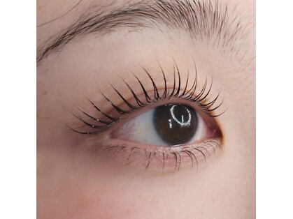 アイラッシュサロン カルモ(eye lash salon calmo)の写真