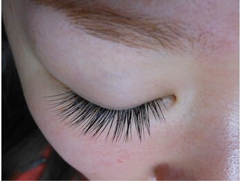 シュシュ(chou chou)/セーブル120本(chouchou吉祥寺)