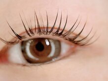 セジョリ(C'est joli)