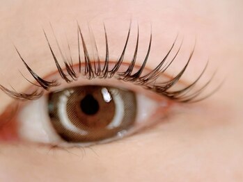 セジョリ(C'est joli)の写真/【目の形や雰囲気に合わせた、自然で上品な目元に♪】