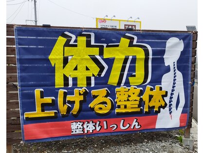 いっしんの写真