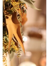 リノエデボーテ(Rinoe’ de beaute)/