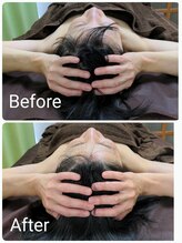 ラクシス(Luxis)/ヒマラヤンドライヘッド