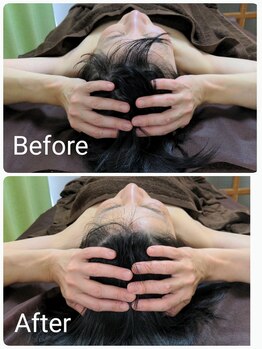 ラクシス(Luxis)/ヒマラヤンドライヘッド